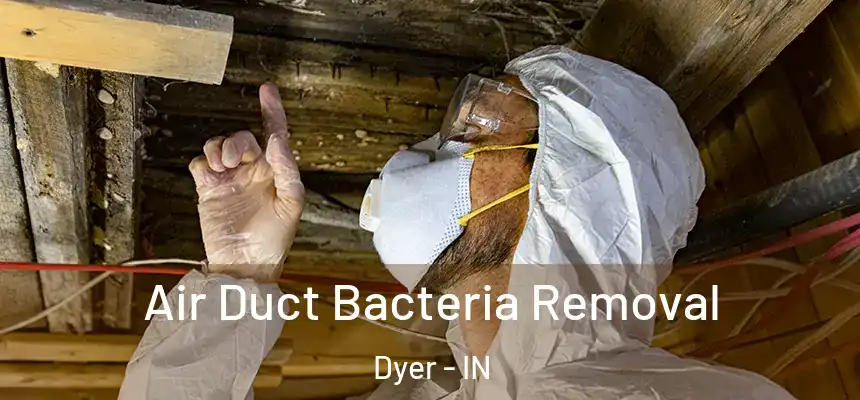  Air Duct Bacteria Removal Dyer - IN