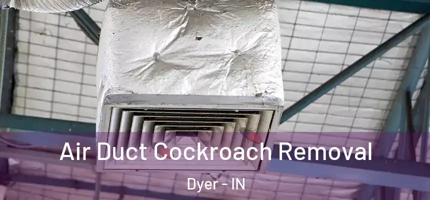  Air Duct Cockroach Removal Dyer - IN