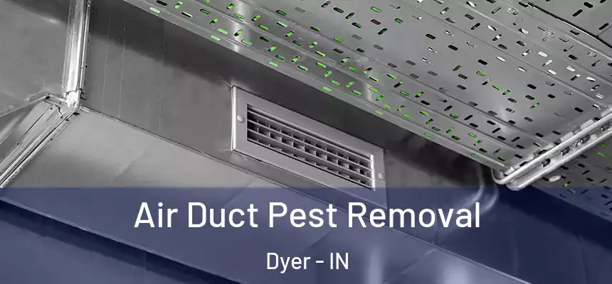  Air Duct Pest Removal Dyer - IN