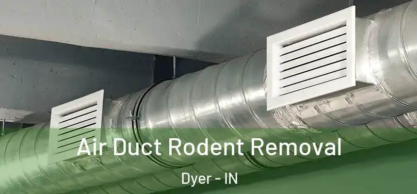Air Duct Rodent Removal Dyer - IN