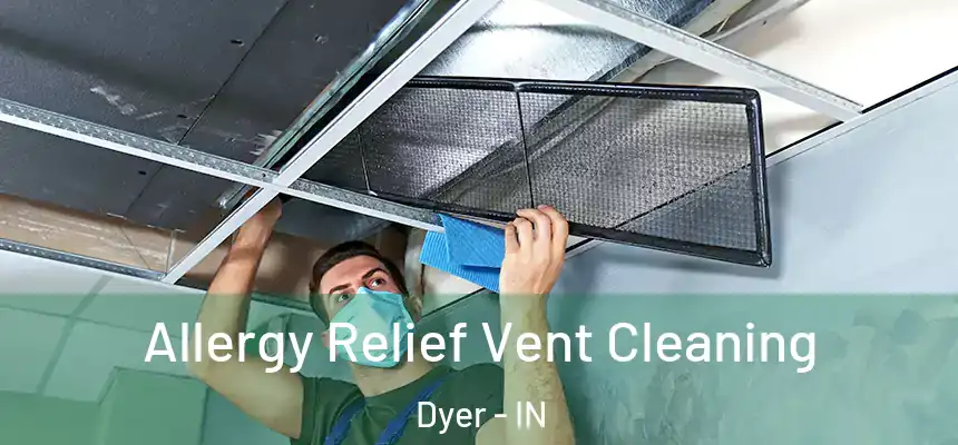  Allergy Relief Vent Cleaning Dyer - IN