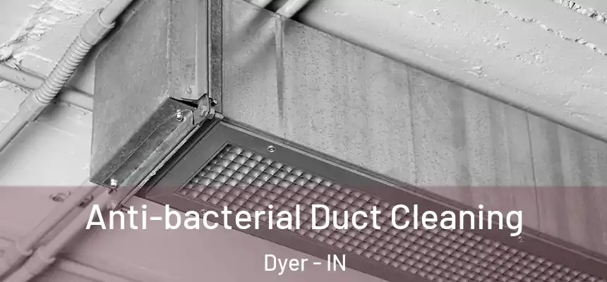 Anti-bacterial Duct Cleaning Dyer - IN