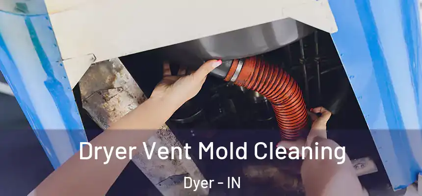Dryer Vent Mold Cleaning Dyer - IN
