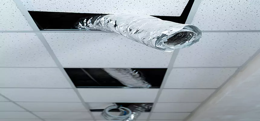 Our Air Duct Pet Hair Removal Services in Dyer, IN