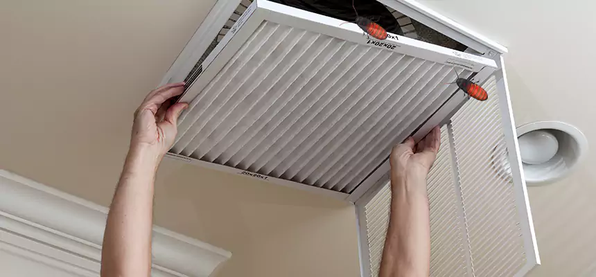 Our Insect Removal from Air Ducts Services in Dyer, IN