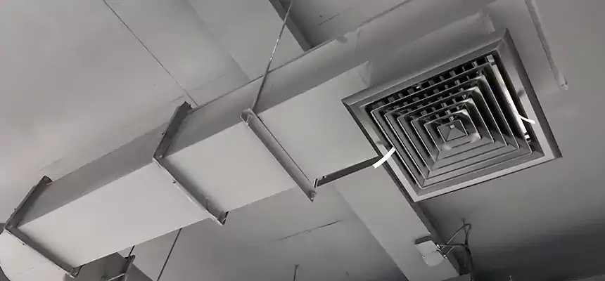 Our Pest Removal From Ducts Services in Dyer, IN