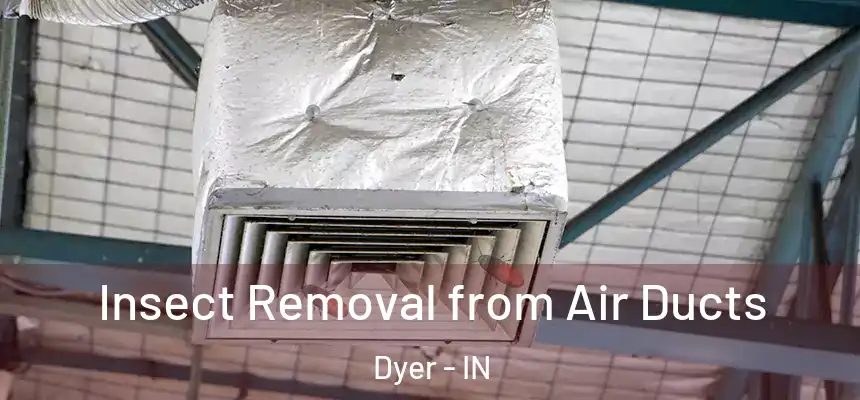 Insect Removal from Air Ducts Dyer - IN