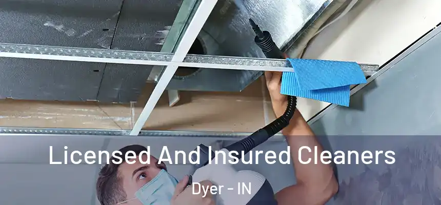  Licensed And Insured Cleaners Dyer - IN