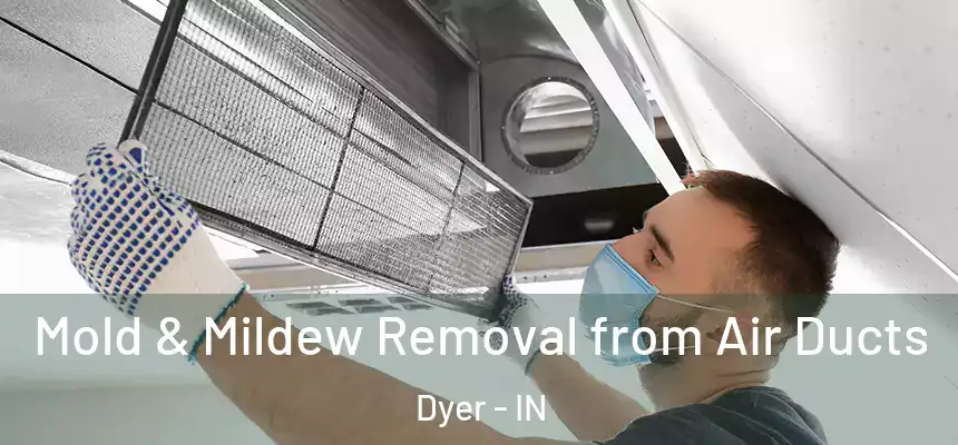 Mold & Mildew Removal from Air Ducts Dyer - IN