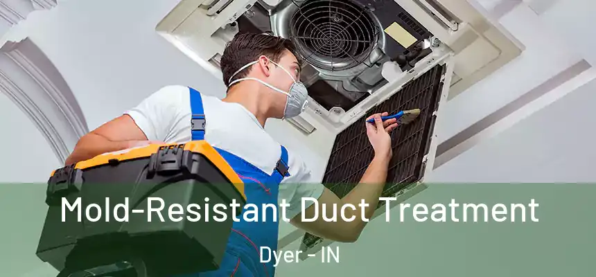  Mold-Resistant Duct Treatment Dyer - IN