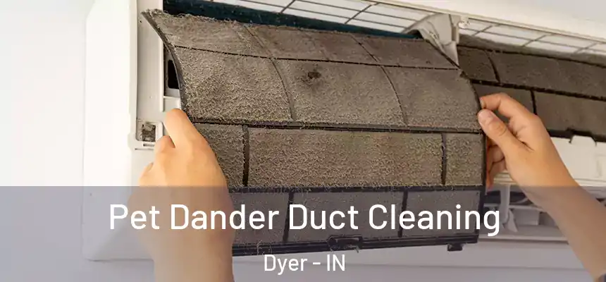  Pet Dander Duct Cleaning Dyer - IN