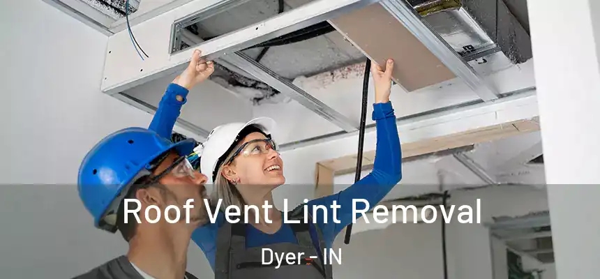  Roof Vent Lint Removal Dyer - IN