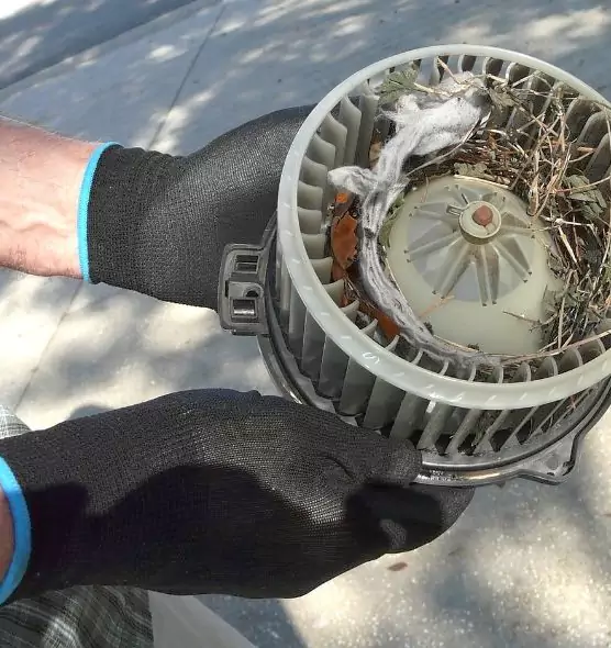 About Air Duct Mice Removal in Dyer, IN