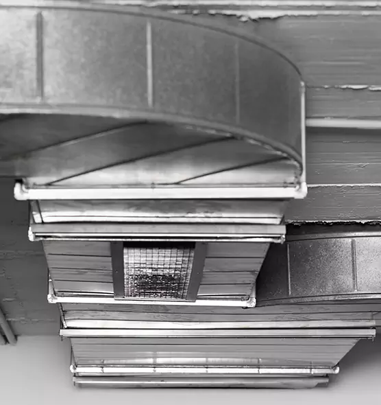 Professional Air Duct Pet Hair Removal in Dyer, IN