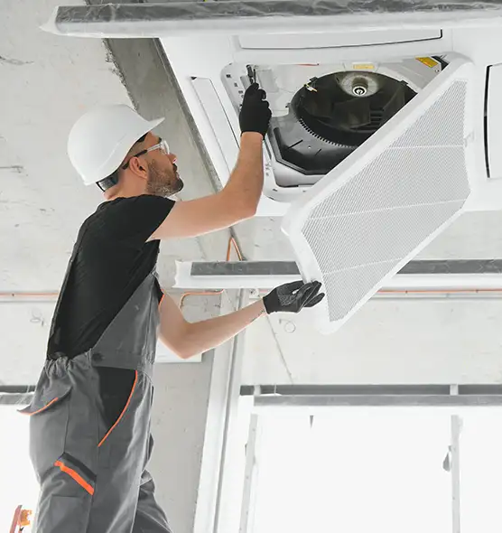 About Air Duct Rodent Removal in Dyer, IN