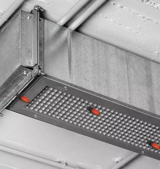 Affordable Insect Removal from Air Ducts in Dyer, IN