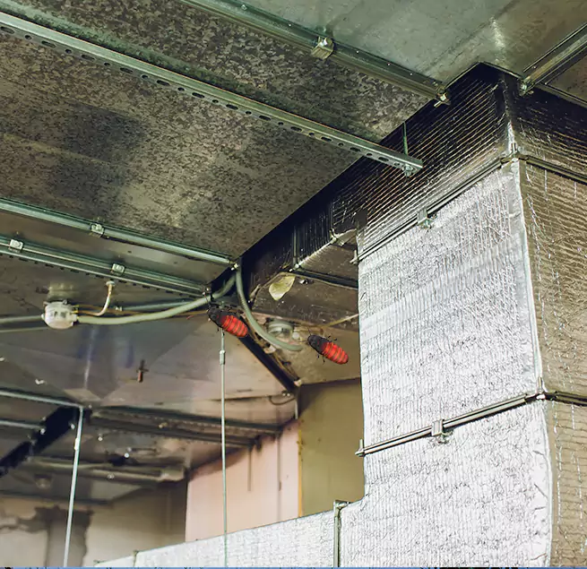 Why Homeowners & Businesses Trust Us Dyer, IN?